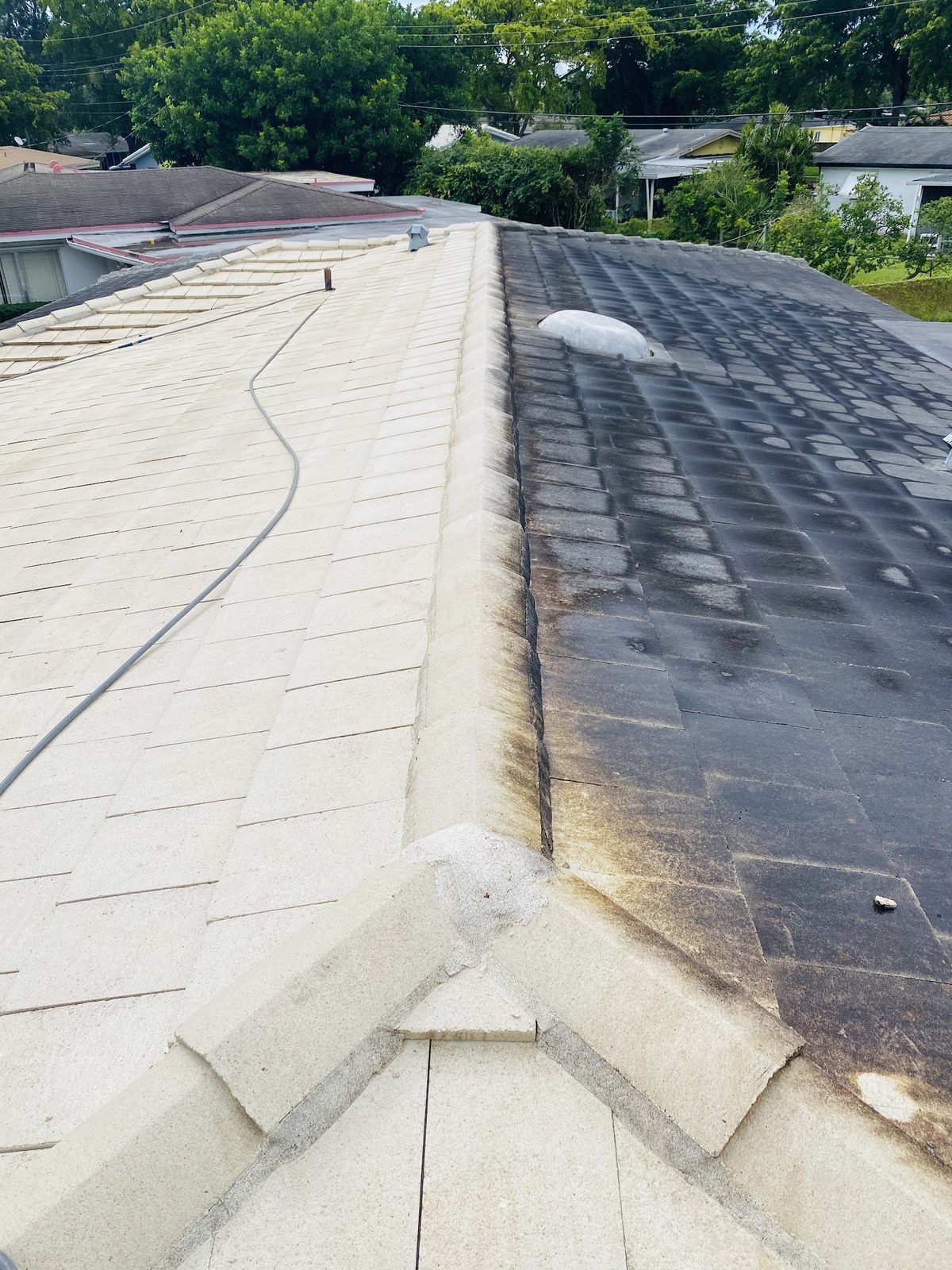 White tile roof, half-cleaned — soft washing in action