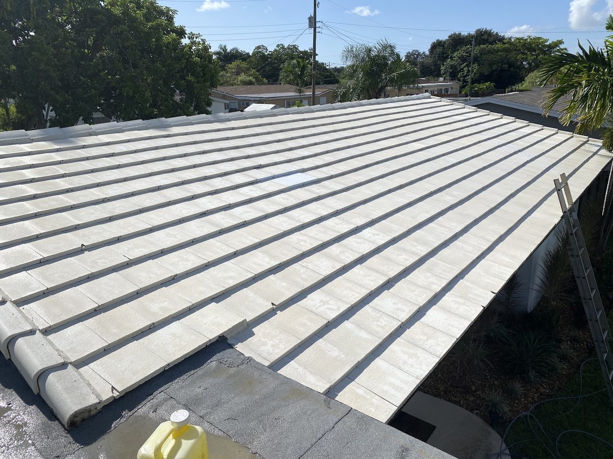 Metal roof washed and streak-free