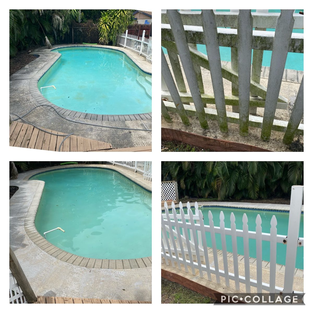 Pool and fence line after cleaning