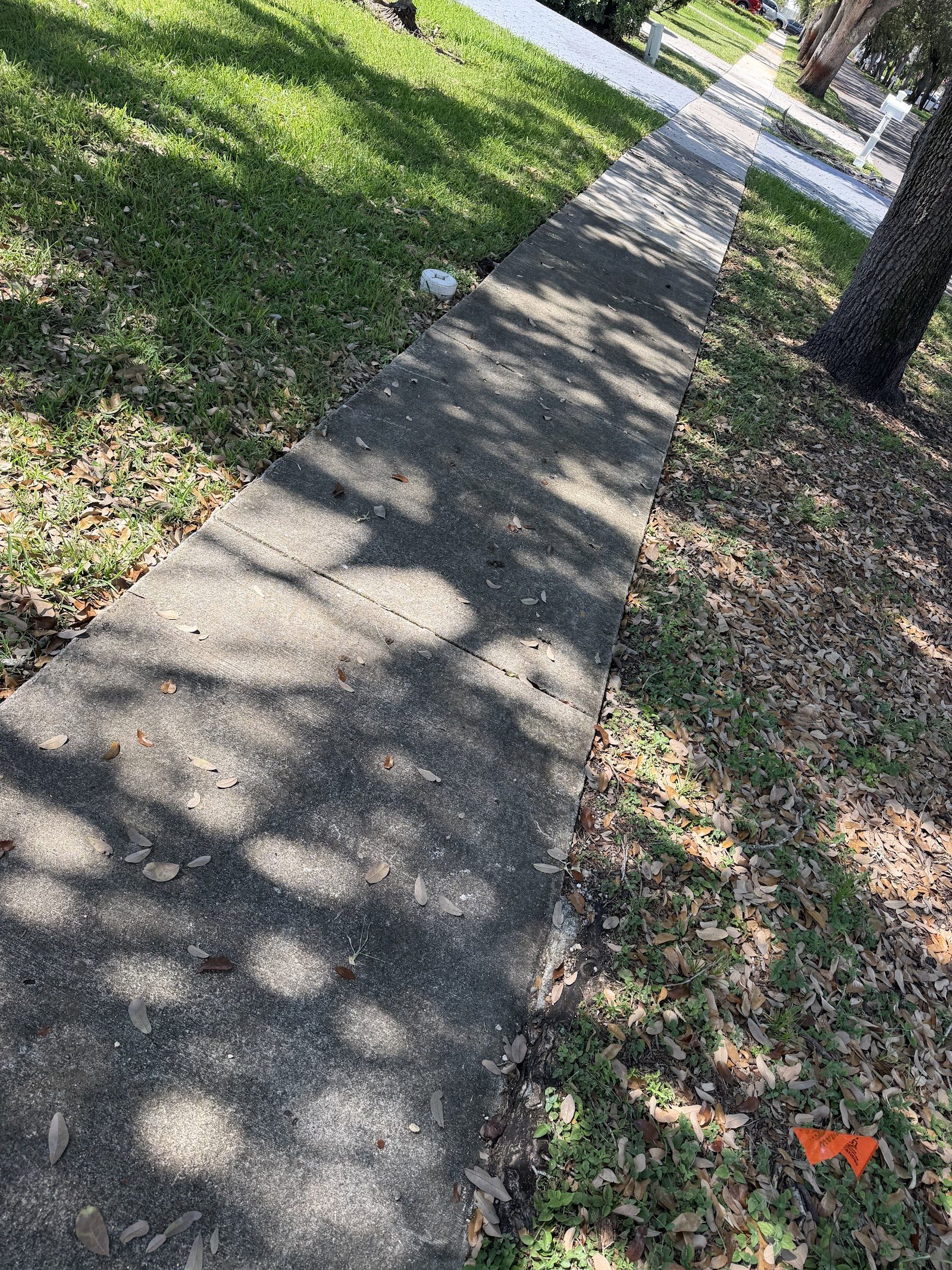Landscaping Stone & Walkway Cleaning