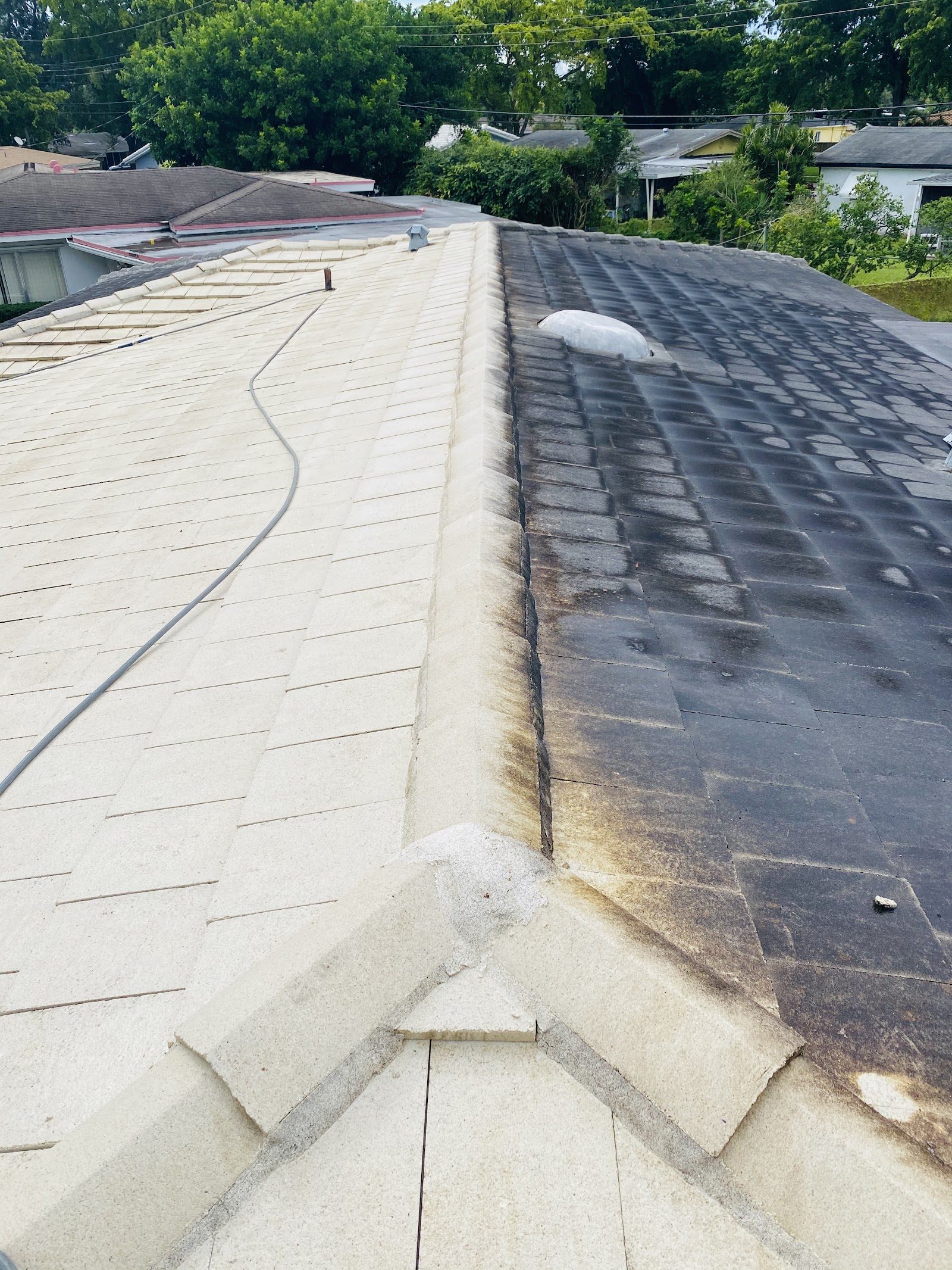 Roof Soft Washing